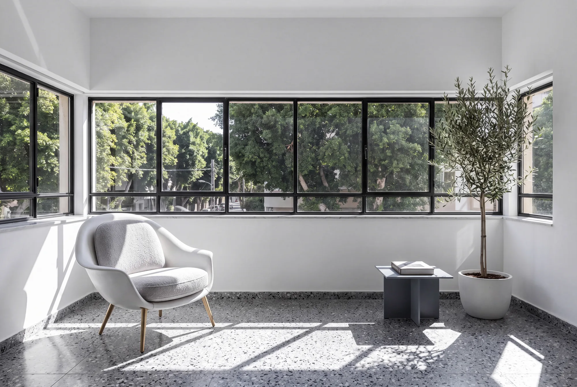 Dune in a white Bauhaus apartment with ribbon windows onto ficus trees and a terrazzo floor