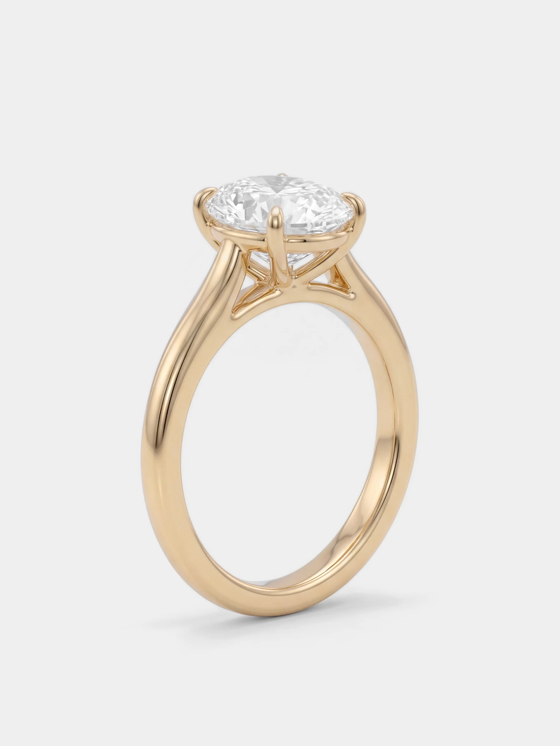 The Soleil ring standing, seen whole