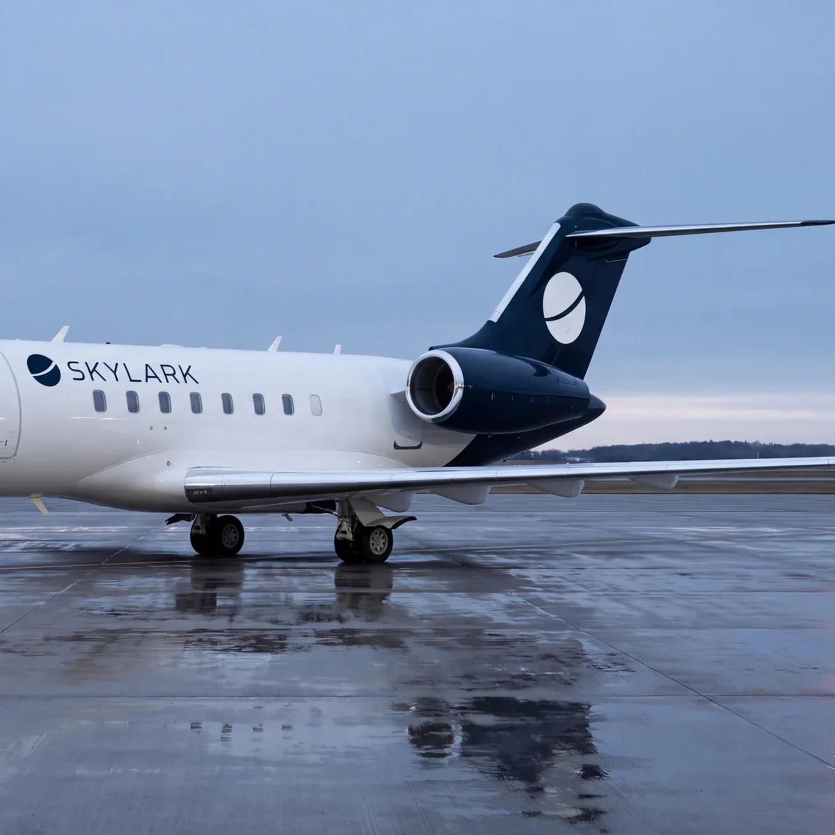 SKYLARK · Full branding from zero · Aviation